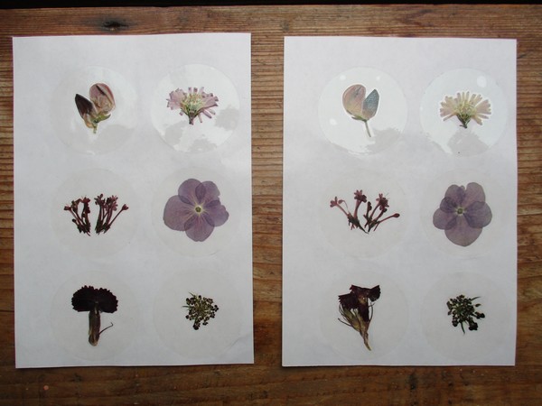 Bloem stickers 40mm SG05