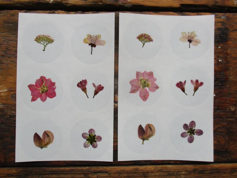 Bloem stickers 40mm SG15