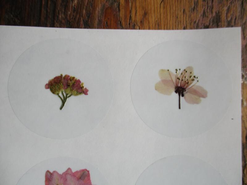 Bloem stickers 40mm SG15