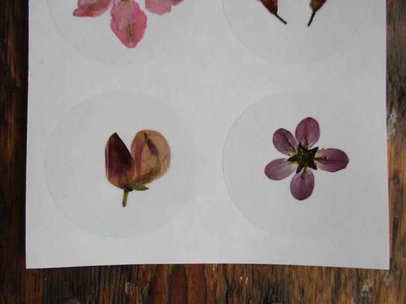 Bloem stickers 40mm SG15