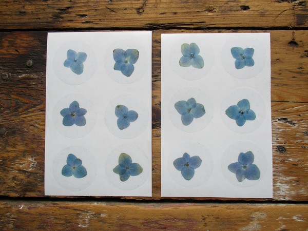 Bloem stickers 40mm ST21