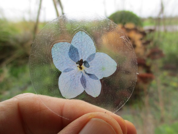 Bloem stickers 40mm ST21