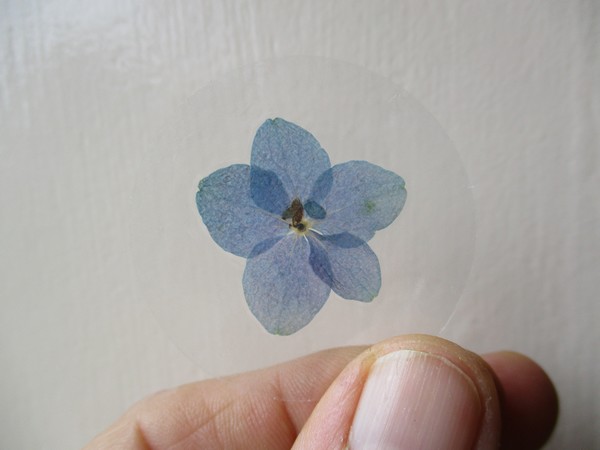 Bloem stickers 40mm ST21