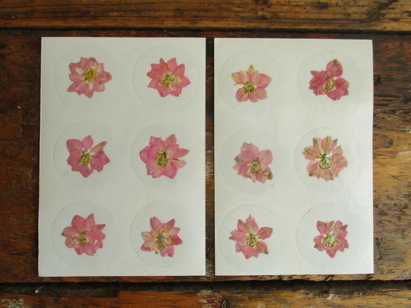 Bloem stickers 40mm ST36