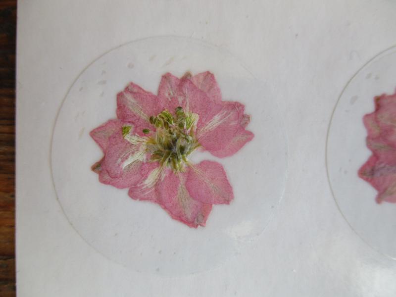 Bloem stickers 40mm ST36
