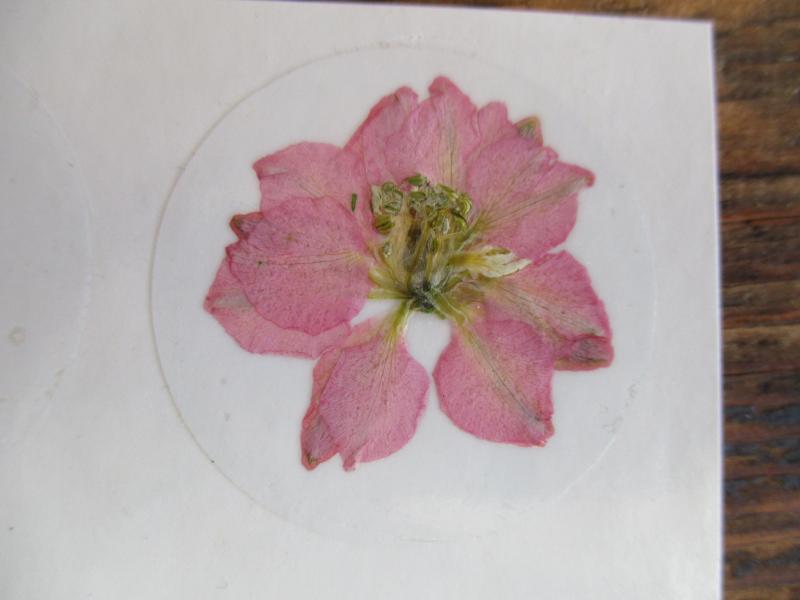Bloem stickers 40mm ST36