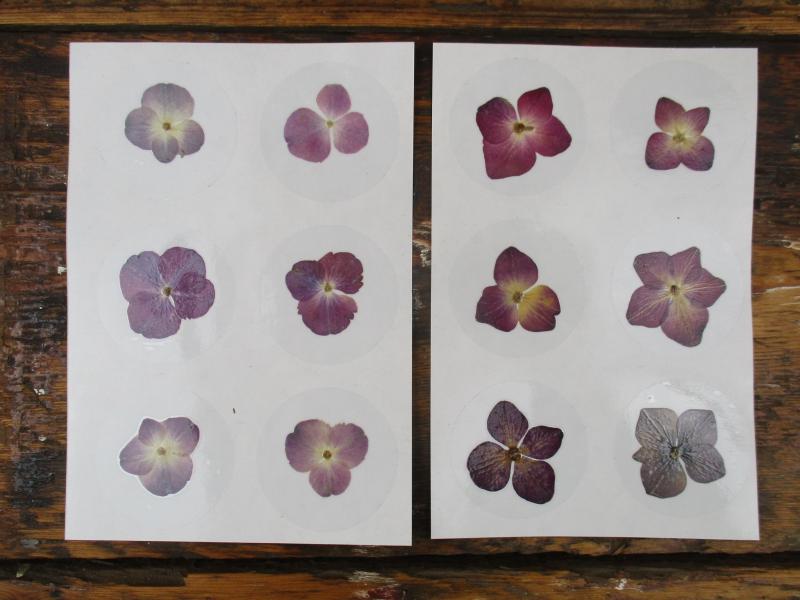 Bloem stickers 40mm ST48