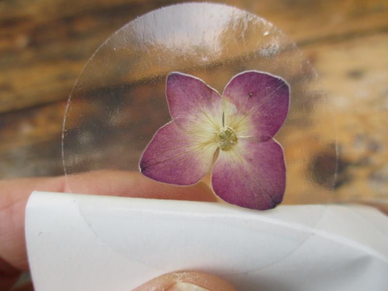 Bloem stickers 40mm ST48