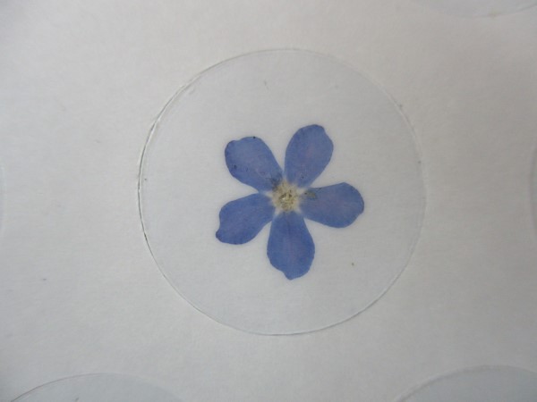 Bloem stickers ST53