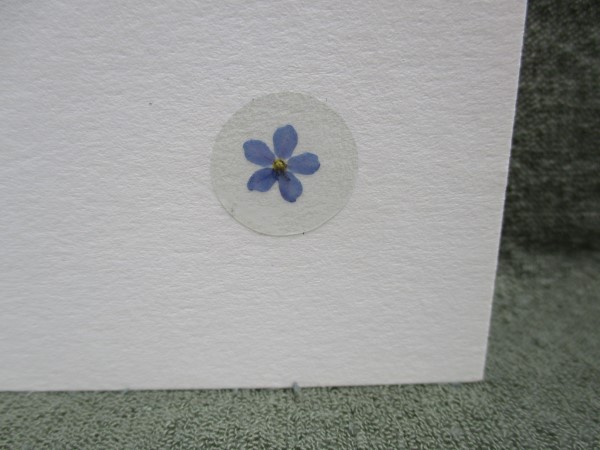 Bloem stickers ST53