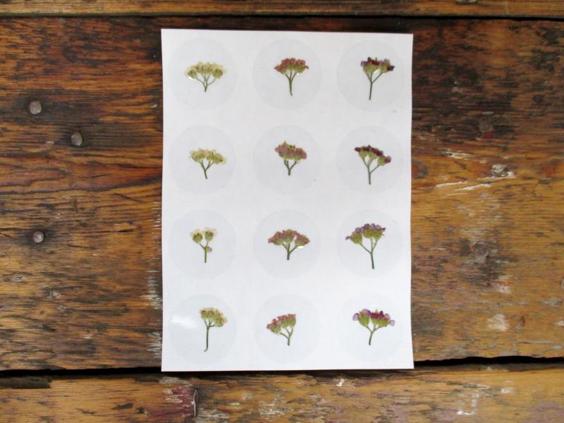 Bloem stickers 30mm ST45