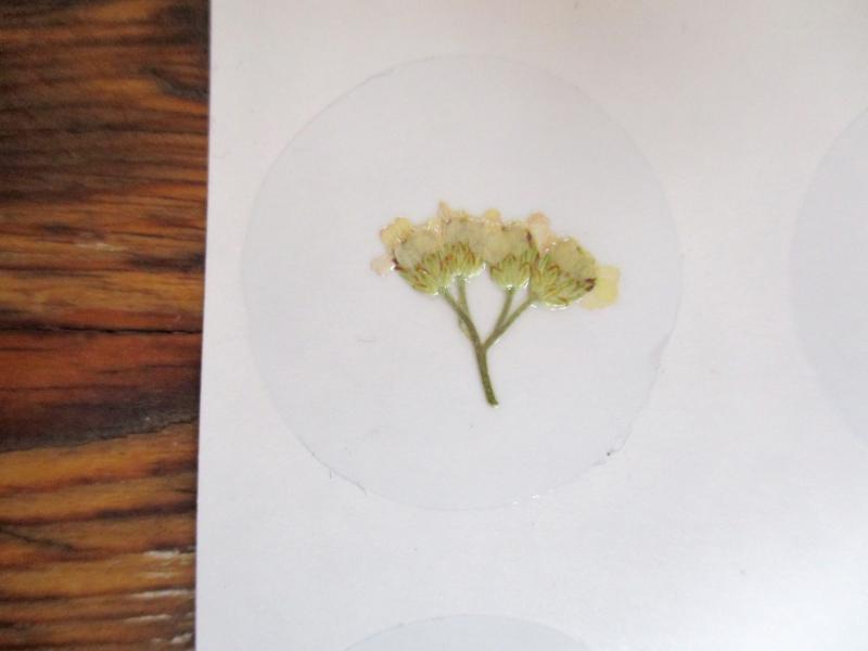 Bloem stickers 30mm ST45
