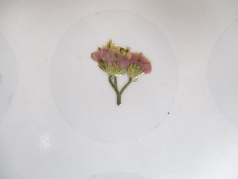 Bloem stickers 30mm ST45