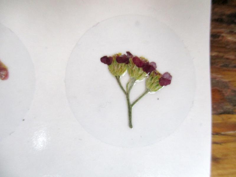 Bloem stickers 30mm ST45