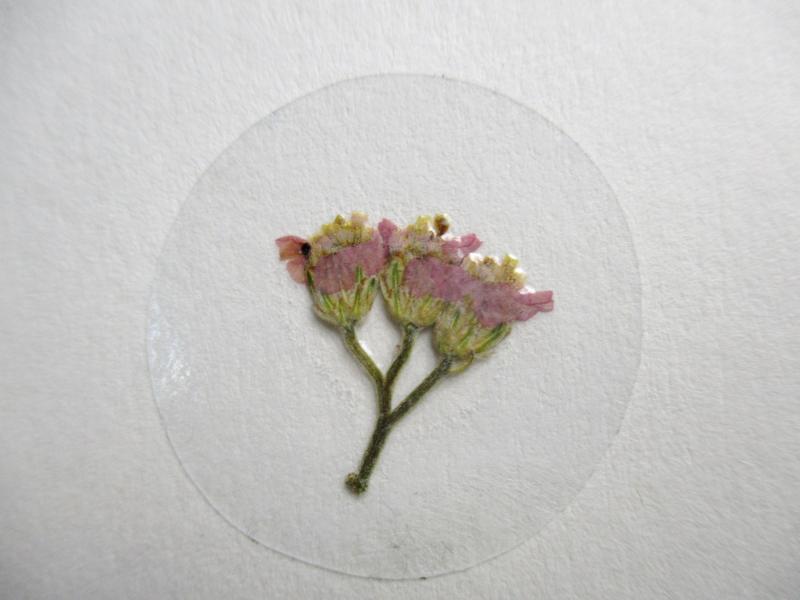 Bloem stickers 30mm ST45