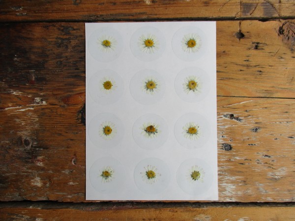 Bloem stickers 30mm ST17