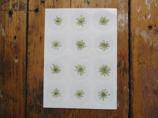 Bloem stickers 30mm ST18
