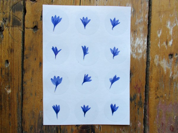 Bloem stickers 30mm ST27