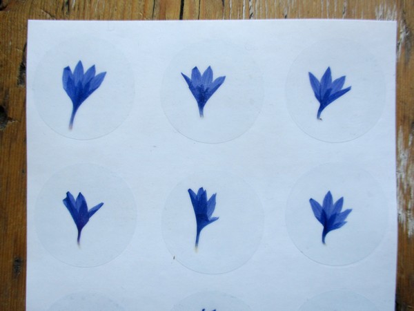 Bloem stickers 30mm ST27