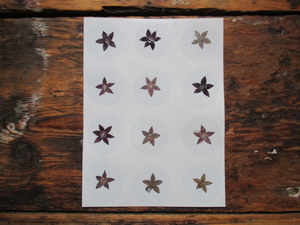 Bloem stickers 30mm ST30