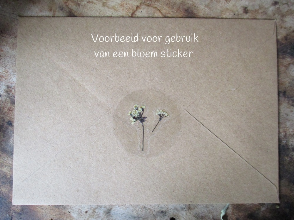 Bloem stickers 30mm ST17