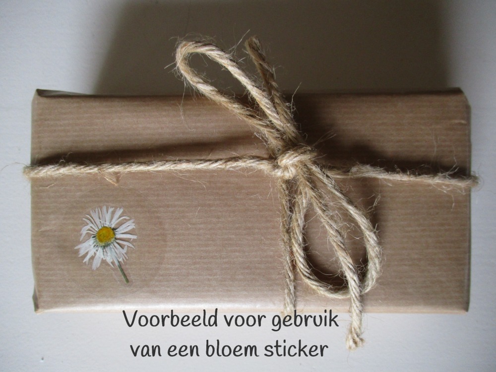 Bloem stickers 30mm ST17