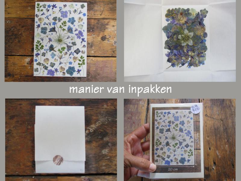 Geperste en gedroogde bloemen GB61C