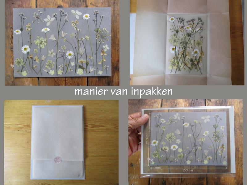 Geperste en gedroogde bloemen GG30D