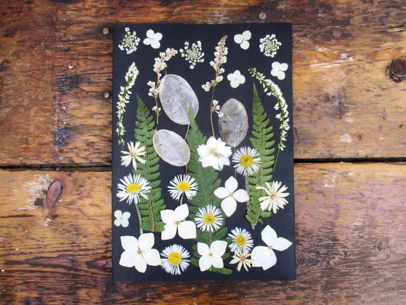 Geperste en gedroogde bloemen GBol1