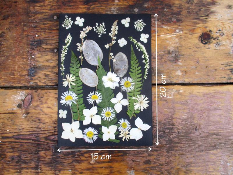 Geperste en gedroogde bloemen GBol1