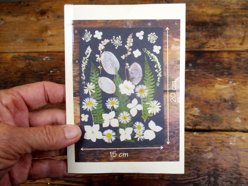 Geperste en gedroogde bloemen GBol1