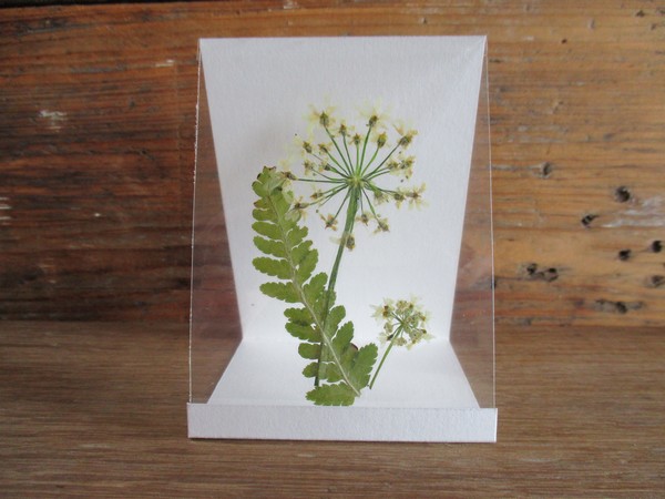 Gelamineerde kaarten LK03