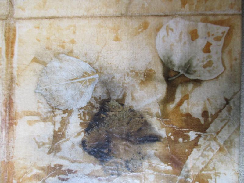Album A05